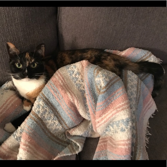 Meet your Posher, Felicia - Picture 8 of 8